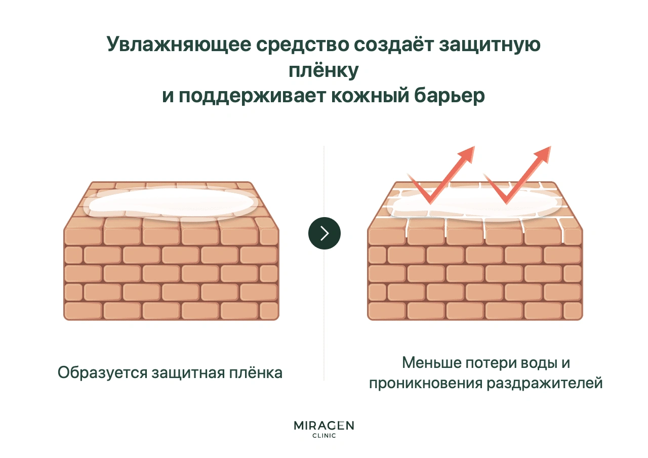 Иллюстрация сравнивает кирпичную стену кожного барьера до и после нанесения увлажняющего крема: защитная плёнка уменьшает испарение воды и проникновение внешних раздражителей
