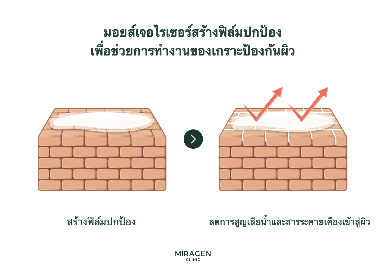 ภาพตัดขวางคล้ายกำแพงอิฐเปรียบเทียบก่อนและหลังใช้มอยส์เจอไรเซอร์ แสดงชั้นปกป้องบนผิวที่เสียหายซึ่งช่วยลดการระเหยของน้ำและกั้นสิ่งระคายเคืองภายนอก