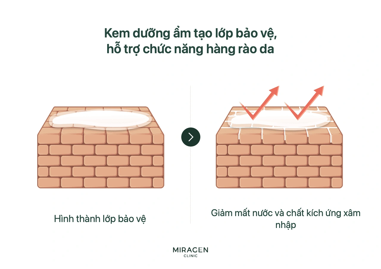 Minh họa tường gạch trước và sau khi dùng kem dưỡng ẩm, giải thích lớp màng giảm bốc hơi nước và ngăn kích thích xâm nhập hàng rào da tổn thương