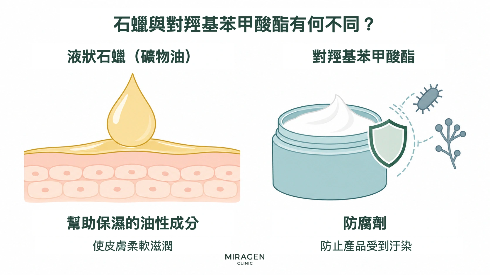示意圖比較液體石蠟和對羥基苯甲酸酯的作用:前者在皮膚表面形成油膜幫助保濕,後者作為防腐劑抑制產品內細菌和黴菌生長