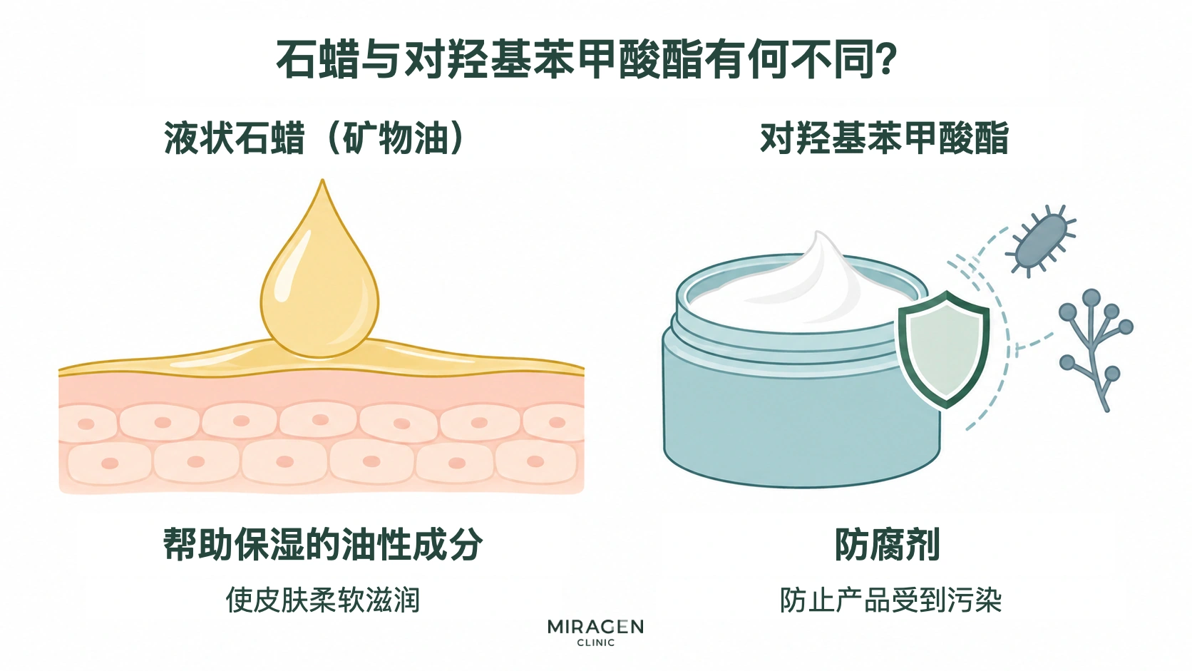 示意图比较液体石蜡和对羟基苯甲酸酯的作用:前者在皮肤表面形成油膜帮助保湿,后者作为防腐剂抑制产品内细菌和霉菌生长