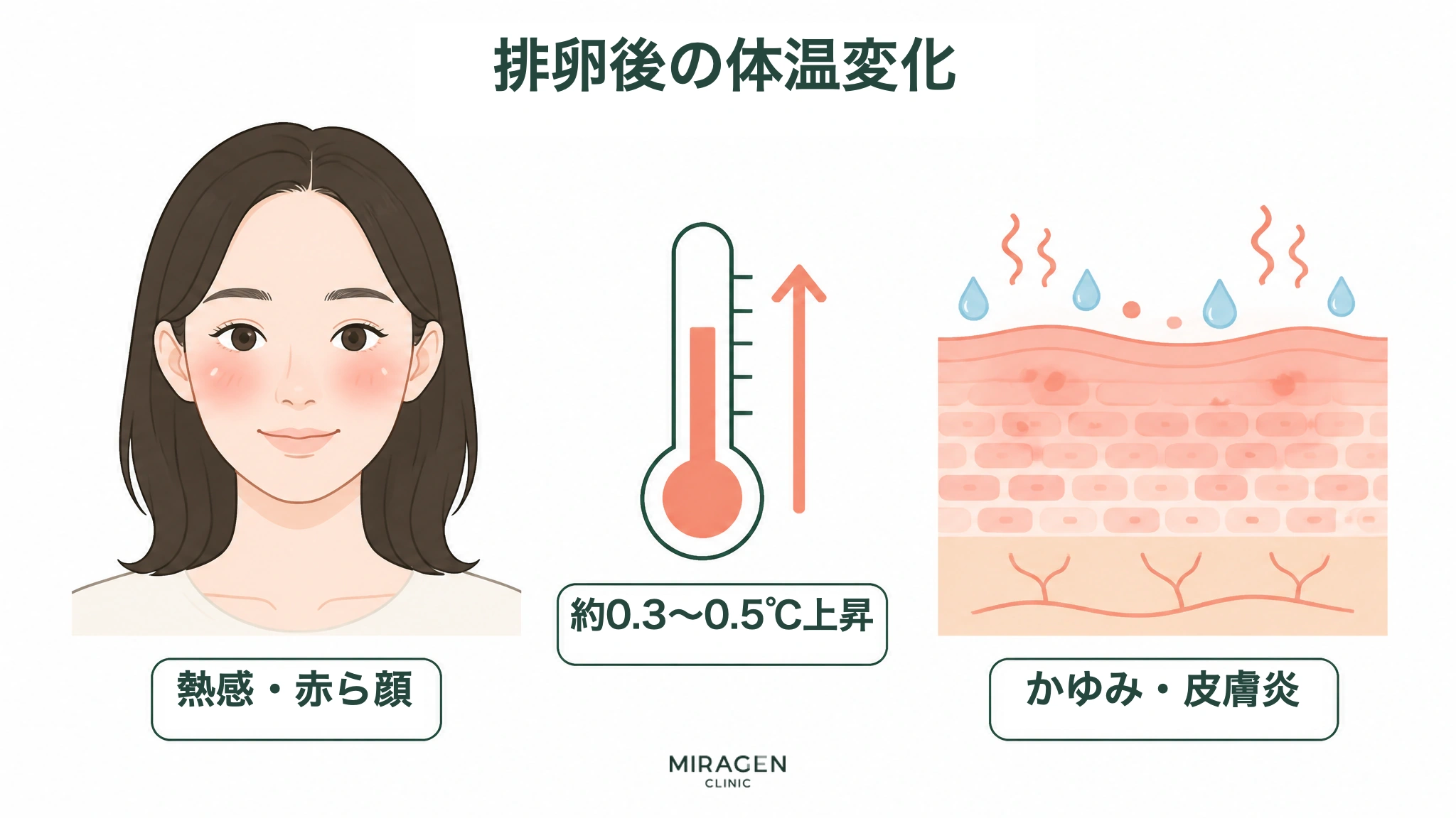 排卵後に基礎体温が約0.3〜0.5℃上がり、熱感・赤ら顔と皮膚炎に影響を与える可能性があることを示した図