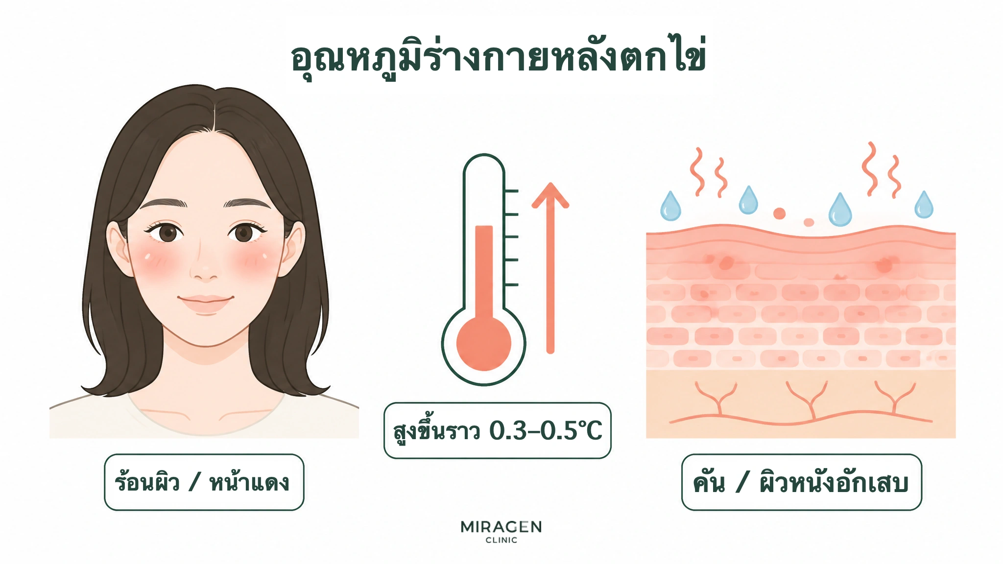 ภาพแสดงอุณหภูมิพื้นฐานหลังตกไข่เพิ่มประมาณ 0.3–0.5 องศาเซลเซียส ซึ่งอาจส่งผลต่อร้อนผิว หน้าแดง และผิวหนังอักเสบ