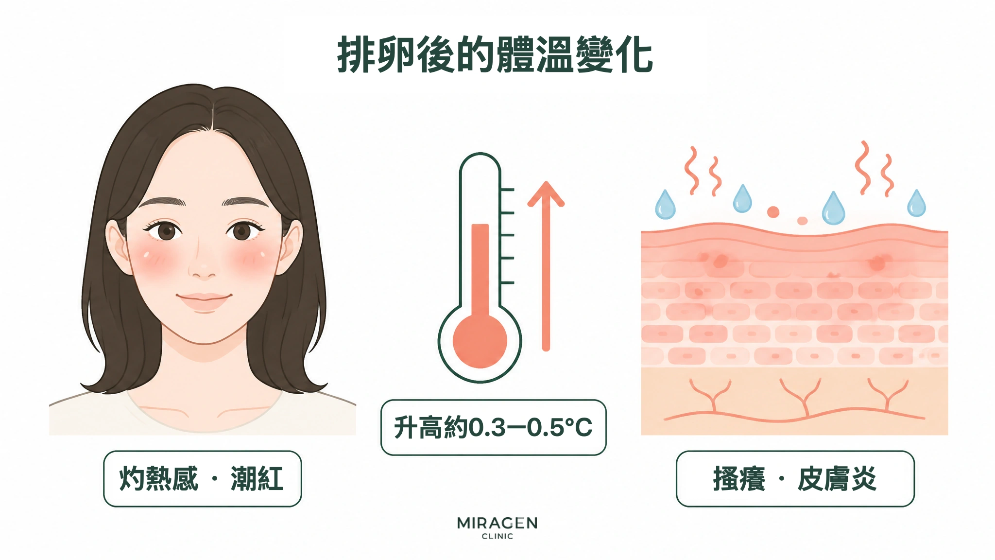 說明排卵後基礎體溫升高約 0.3~0.5°C,可能影響熱感、潮紅和皮膚炎的圖表