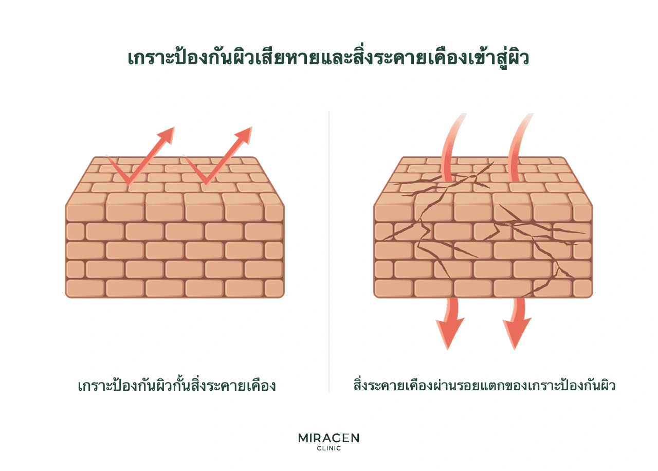 อินโฟกราฟิกกำแพงอิฐอธิบายสาเหตุพื้นฐานของผื่นผิวหนัง เกราะป้องกันผิวปกติกั้นสิ่งกระตุ้นภายนอก แต่เมื่อเสียหาย สิ่งกระตุ้นผ่านรอยแตกและทำให้เกิดผื่นภูมิแพ้ผิวหนัง