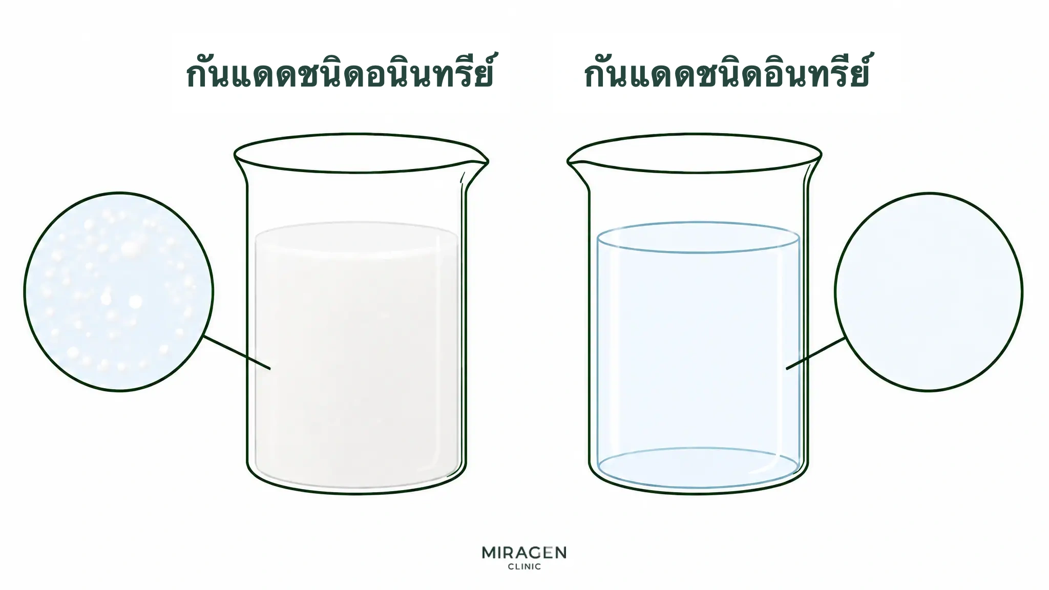 ภาพเปรียบเทียบในบีกเกอร์ กันแดดแร่มีอนุภาคขุ่นกระจายอยู่ ส่วนกันแดดอินทรีย์ละลายใส
