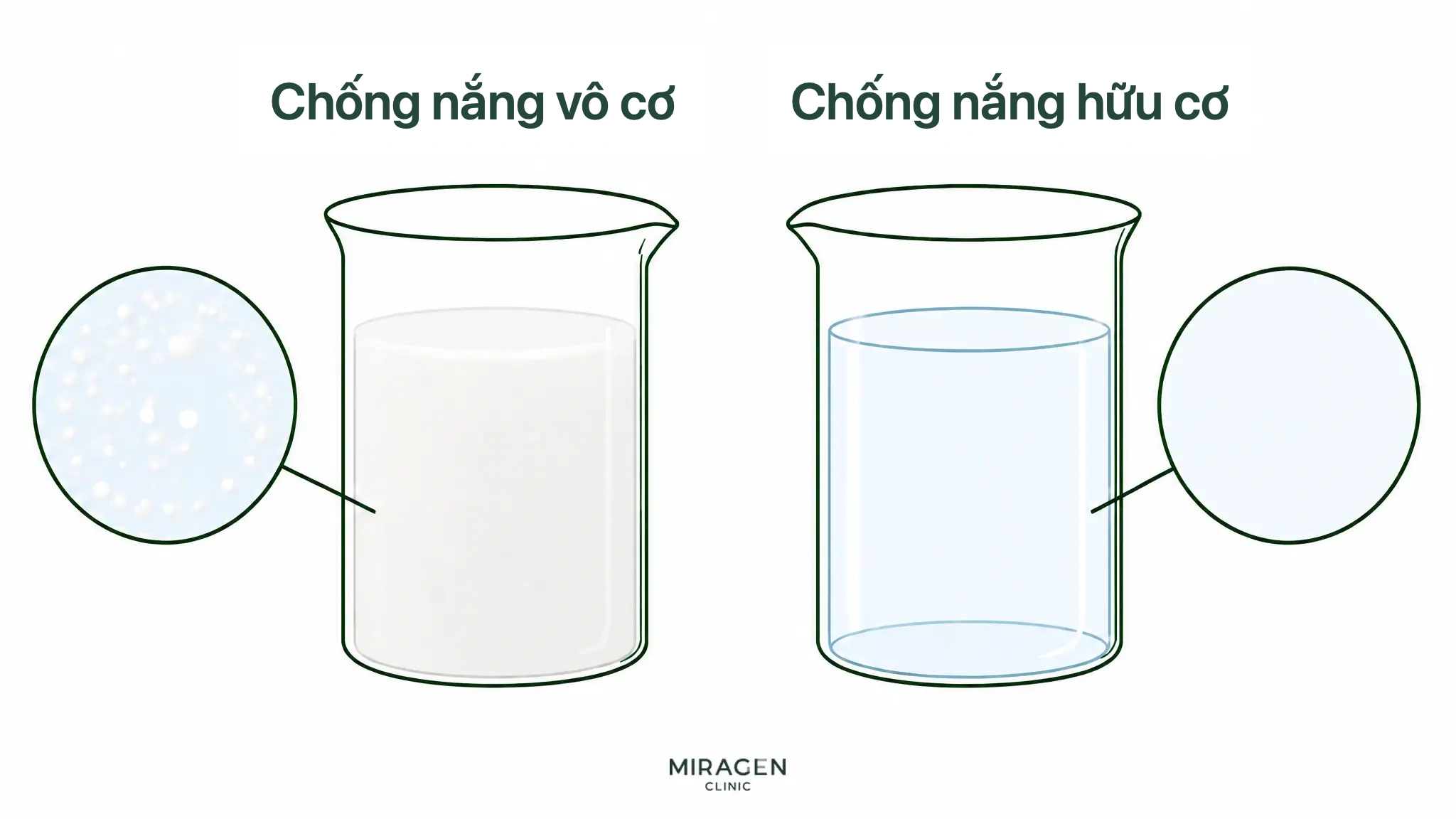 Hình so sánh trong hai cốc: hoạt chất khoáng là các hạt phân tán làm hỗn hợp đục, hoạt chất hữu cơ hòa tan trong dung dịch trong