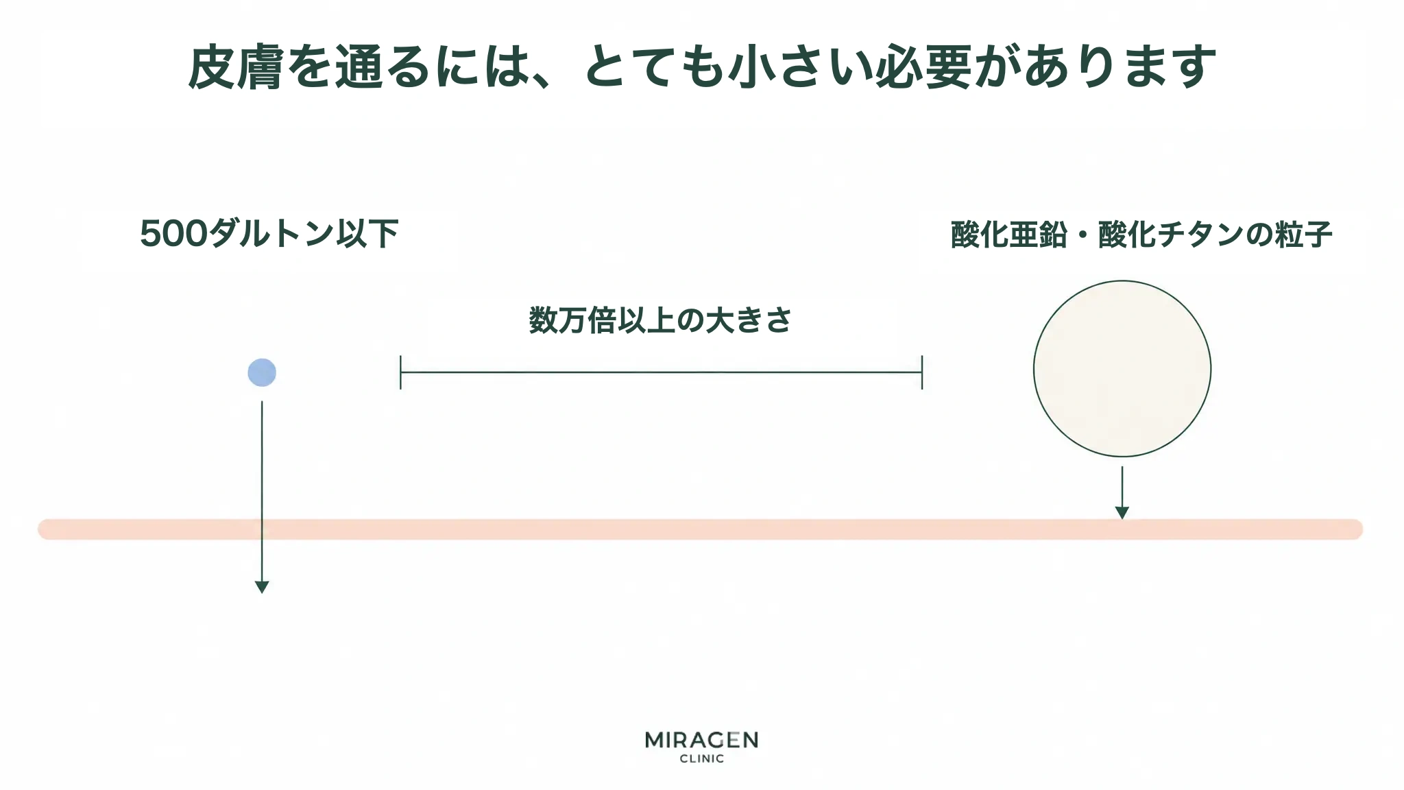 無機系と有機系の日焼け止めの違いのうち皮膚通過の可能性を説明するため、500ダルトン以下の成分と大きな金属酸化物粒子を比較した模式図