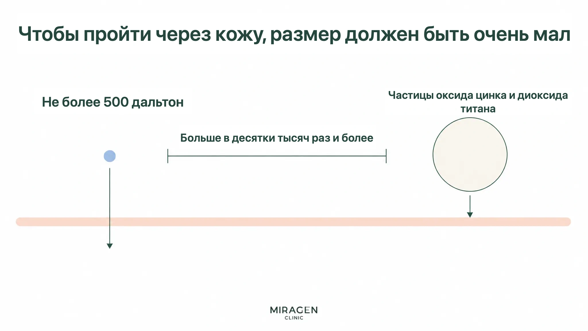 Схема сравнивает молекулы массой до 500 дальтон, которые способны проходить через кожу, с крупными частицами оксидов металлов