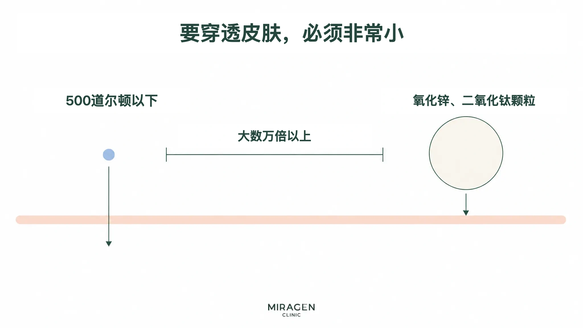 比较 500 道尔顿以下的小分子与较大的金属氧化物颗粒,以说明两类防晒成分穿过皮肤可能性的图示