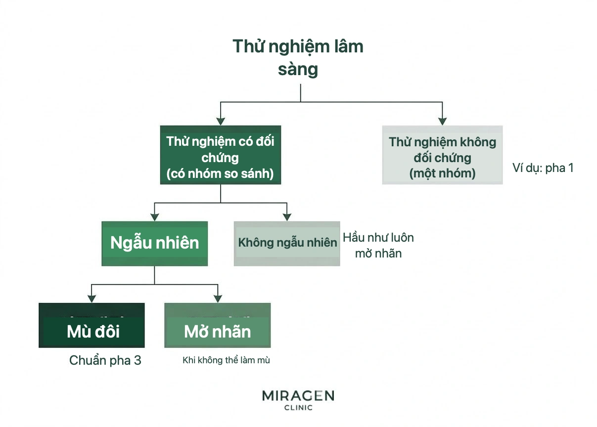 Sơ đồ cây thiết kế thử nghiệm: có hoặc không đối chứng, phân nhóm ngẫu nhiên, mù đôi hay nhãn mở, phân biệt với nghiên cứu quan sát