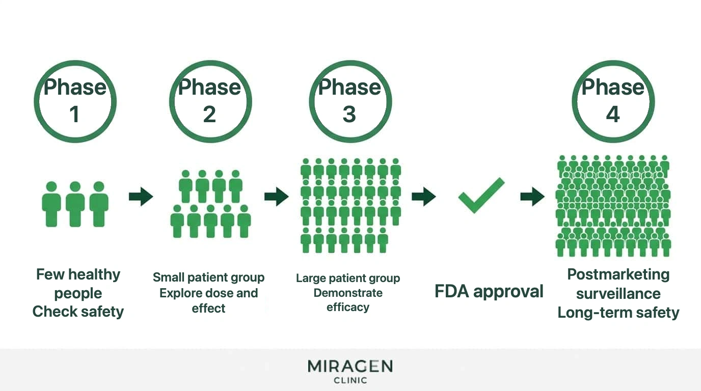 A flowchart showing the number of participants and purpose for each phase from Phase 1 to Phase 4, explaining the structured process of clinical trials as distinct from observational studies such as cohort studies