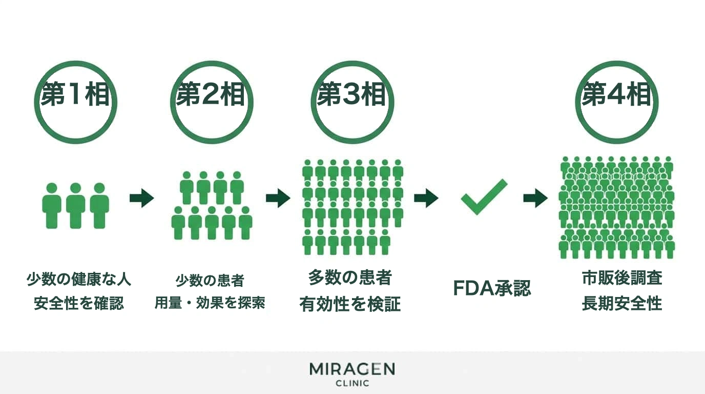 臨床試験の第1相から第4相まで、各段階の対象人数と目的を示すフローチャート。コホート研究などの観察研究と区別される臨床試験の体系的プロセスを説明する図