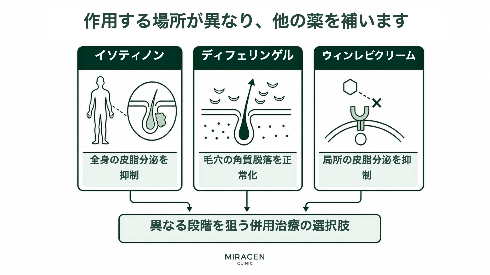イソティノンの全身的な皮脂分泌抑制、ディフェリンゲルの毛穴の角質脱落の正常化、ウィンレヴィクリームの局所的な皮脂分泌抑制が、それぞれ異なる作用点で補完し合うことを3つの図で示したインフォグラフィック