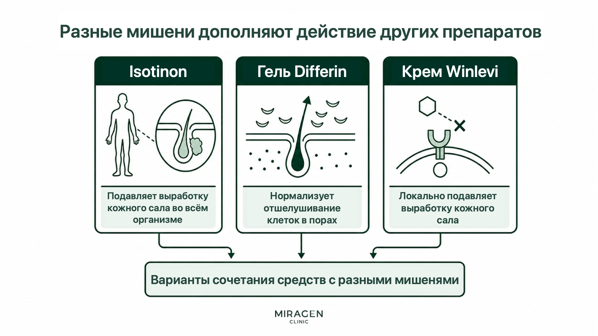 Инфографика сравнивает три дополняющих подхода: Изотинон системно уменьшает выделение сала, Дифферин нормализует отшелушивание в порах, Винлеви местно уменьшает выделение сала