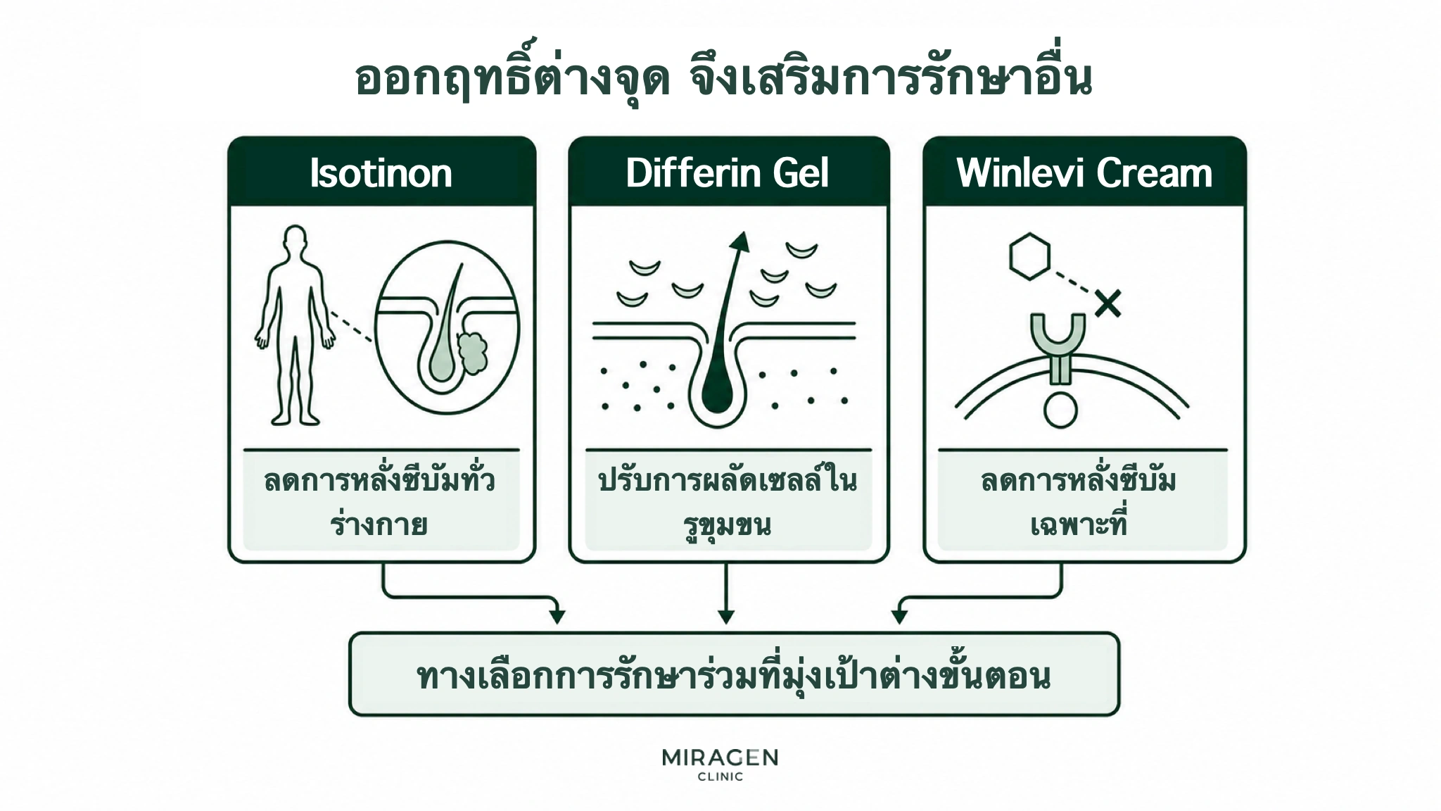 อินโฟกราฟิกสามภาพแสดงไอโซตินอนลดการผลิตไขมันผิวทั่วร่างกาย ดิฟเฟอรินเจลช่วยให้เซลล์ผิวในรูขุมขนหลุดตามปกติ และครีมวินเลวีลดการผลิตไขมันผิวเฉพาะที่