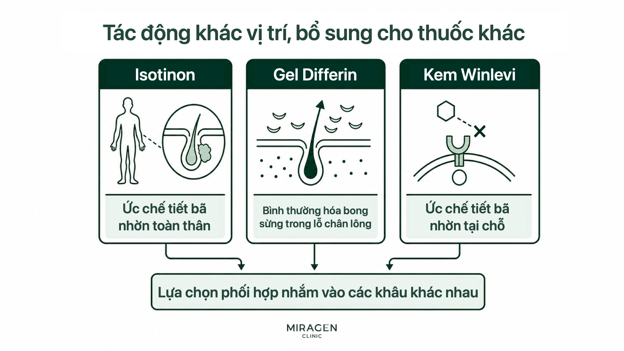Đồ họa ba cơ chế bổ trợ nhau: Isotinon ức chế tiết bã toàn thân, Differin điều hòa bong sừng lỗ chân lông và Winlevi ức chế tiết bã tại chỗ