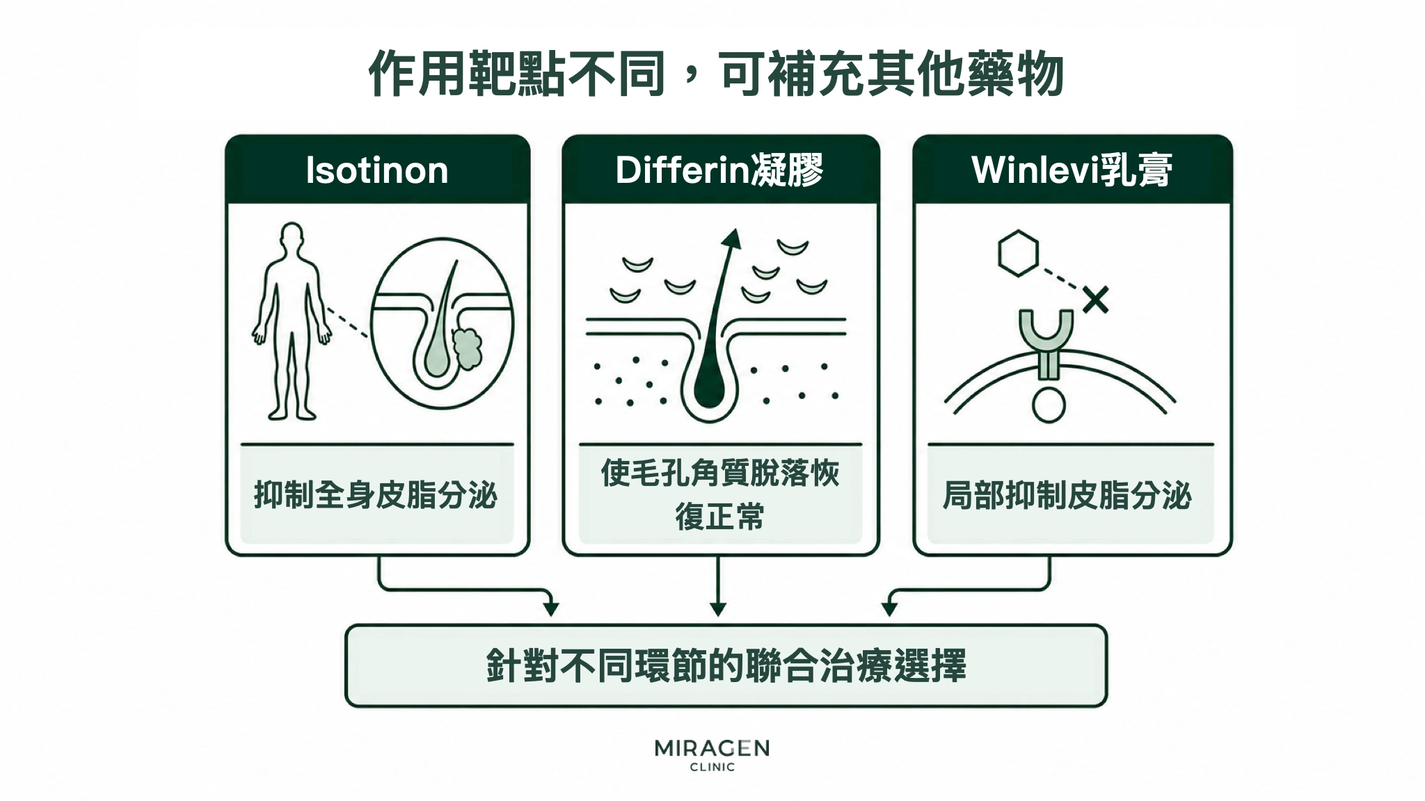 資訊圖以三幅示意圖分別展示異維A酸抑制全身皮脂分泌、Differin凝膠使毛孔角質脫落恢復正常、Winlevi 乳膏抑制局部皮脂分泌，說明它們在不同環節互相補充