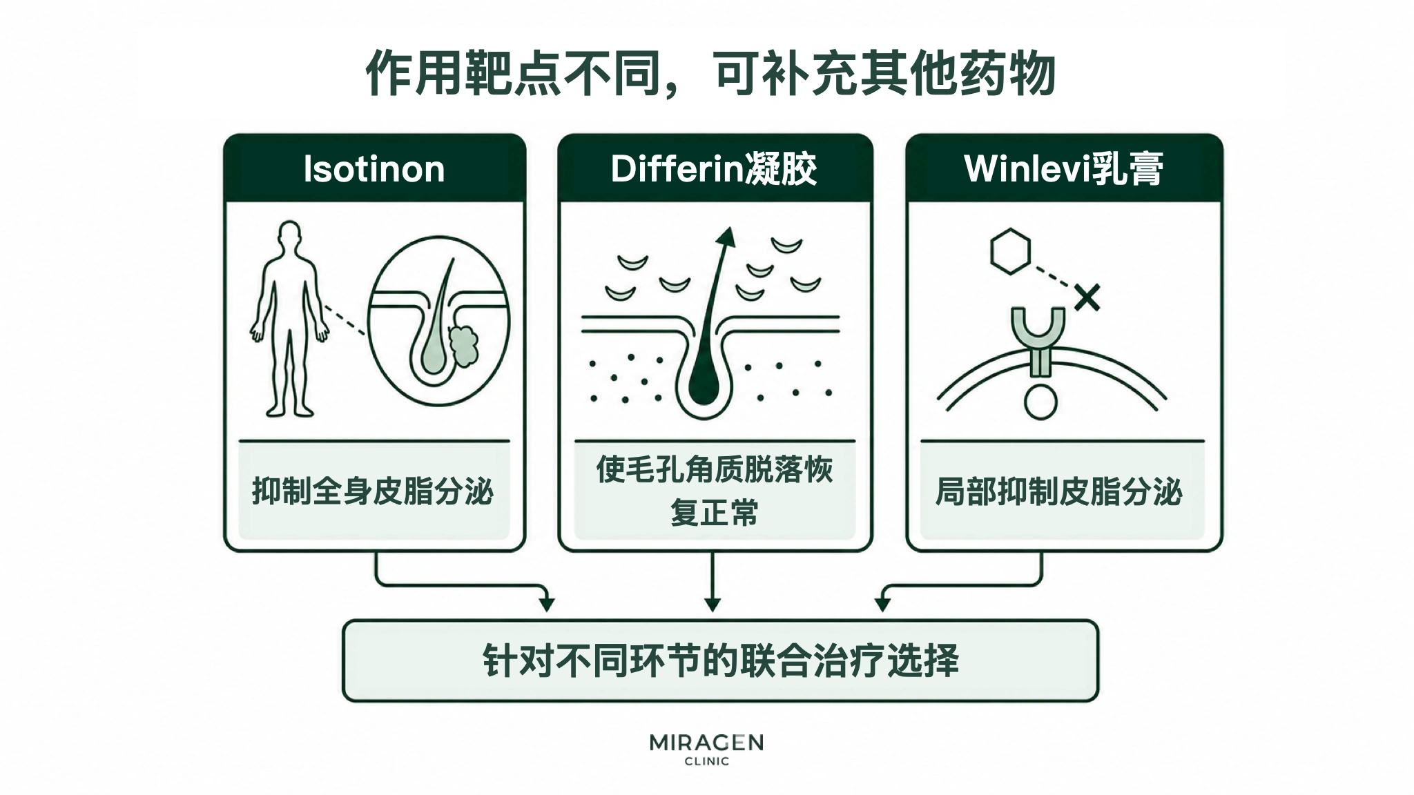 信息图以三幅示意图分别展示异维A酸抑制全身皮脂分泌、达芙文凝胶使毛孔角质脱落恢复正常、Winlevi 乳膏抑制局部皮脂分泌，说明它们在不同环节互相补充